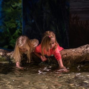 Kinderen Bergen aan zee