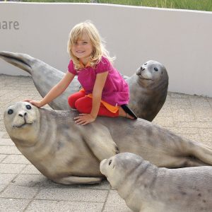 speelzeehonden; kinderen; bezoekers