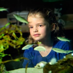 kind zeelab aquarium